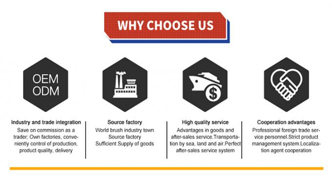 Telescopisch de Borstel Enig Hoofd van Waterfed pole solar panel cleaning 9