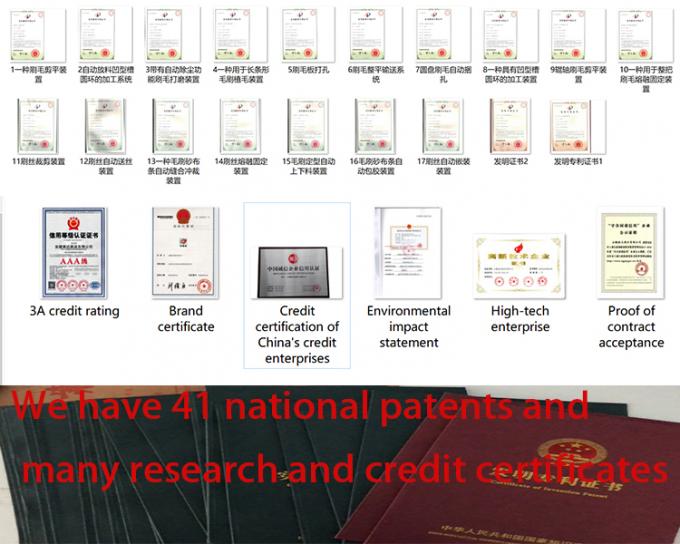 Pp-de PAstraatveger borstelt Dulevo 5000/6000 OF kan worden aangepast 15